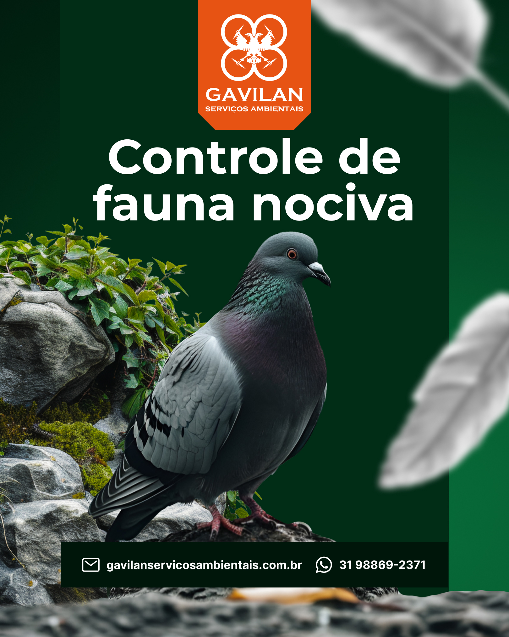 CONTROLE DE FAUNA NOCIVA