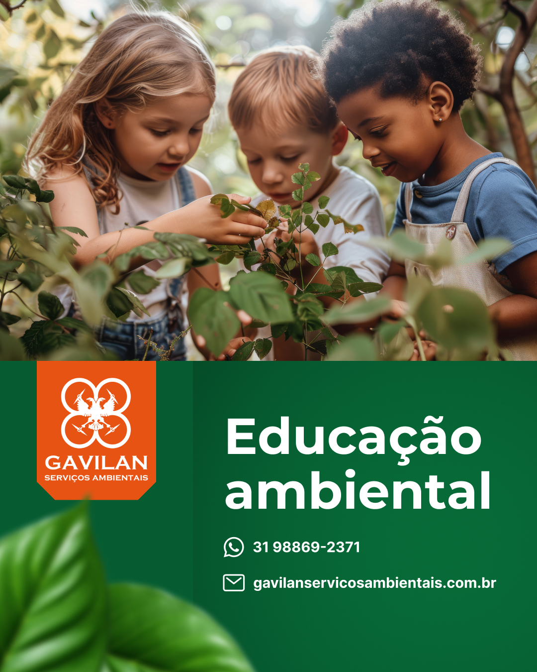 EDUCAÇÃO AMBIENTAL