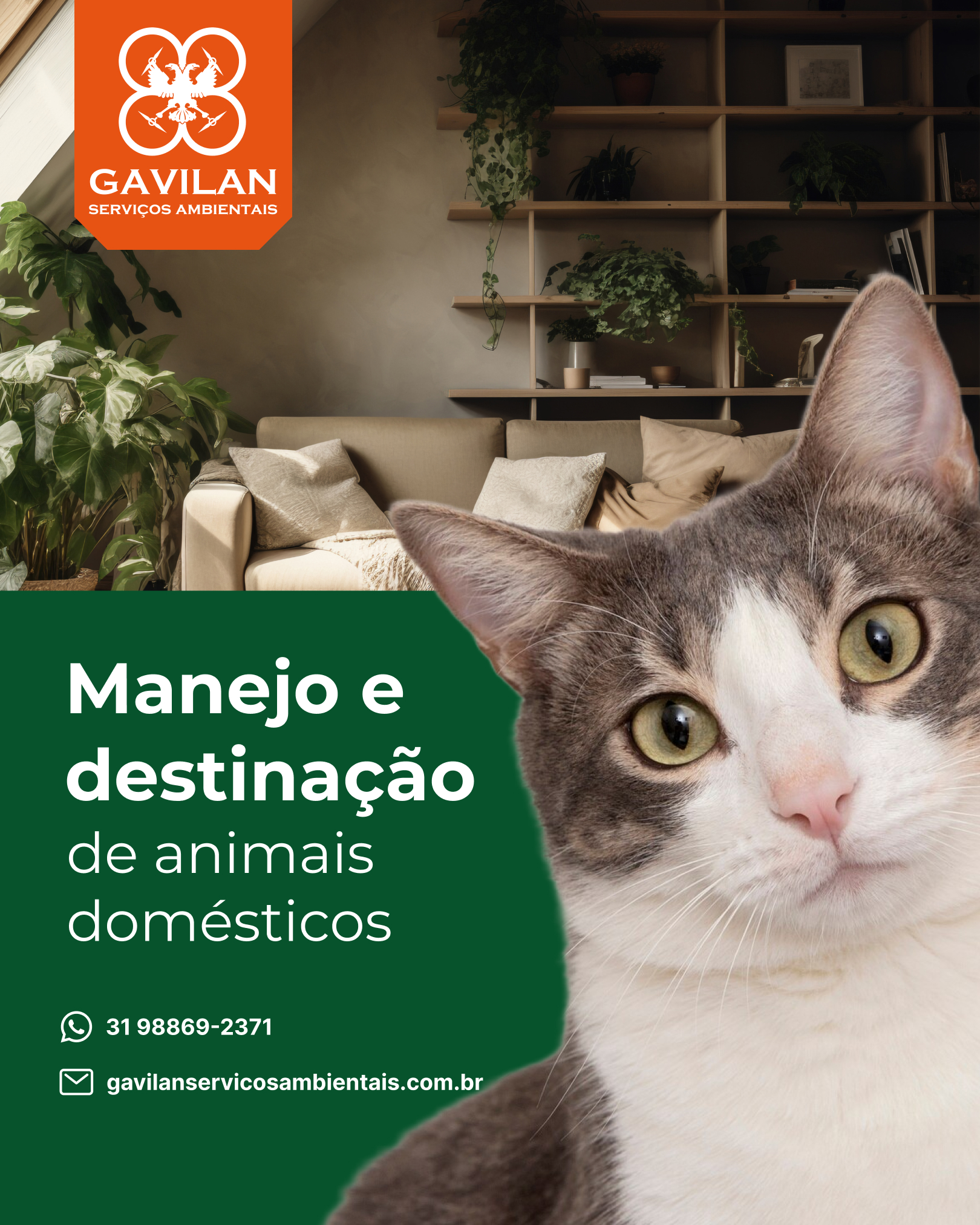 MANEJO E DESTINAÇÃO