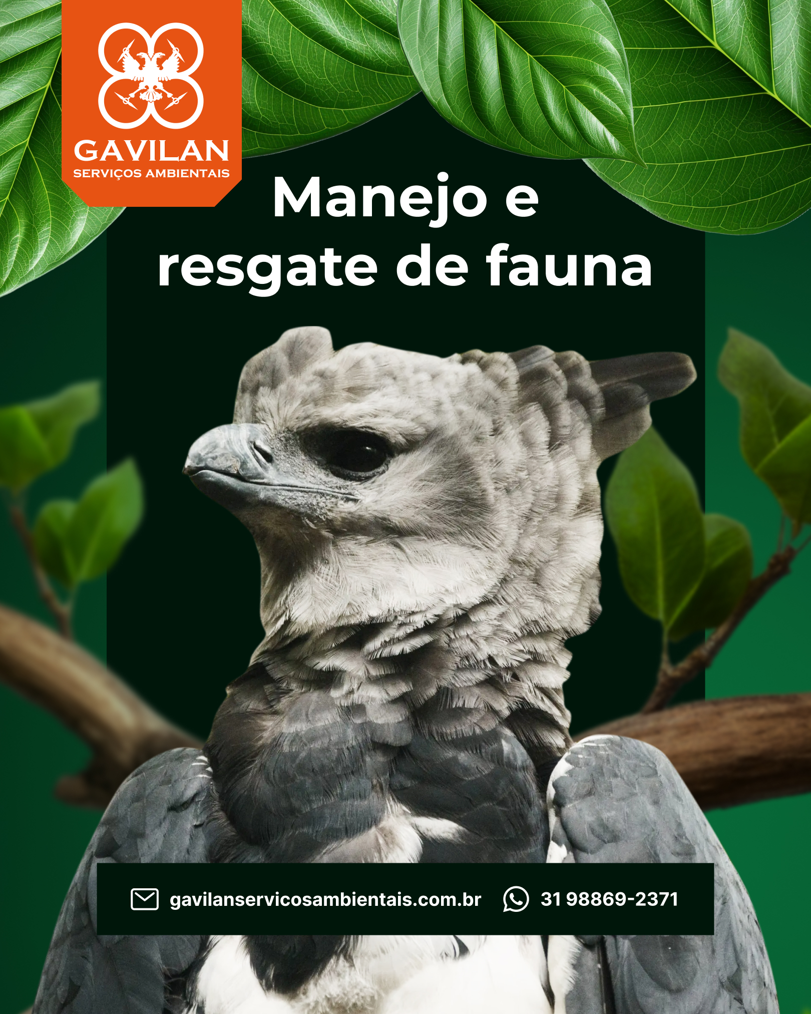 MANEJO E RESGATE