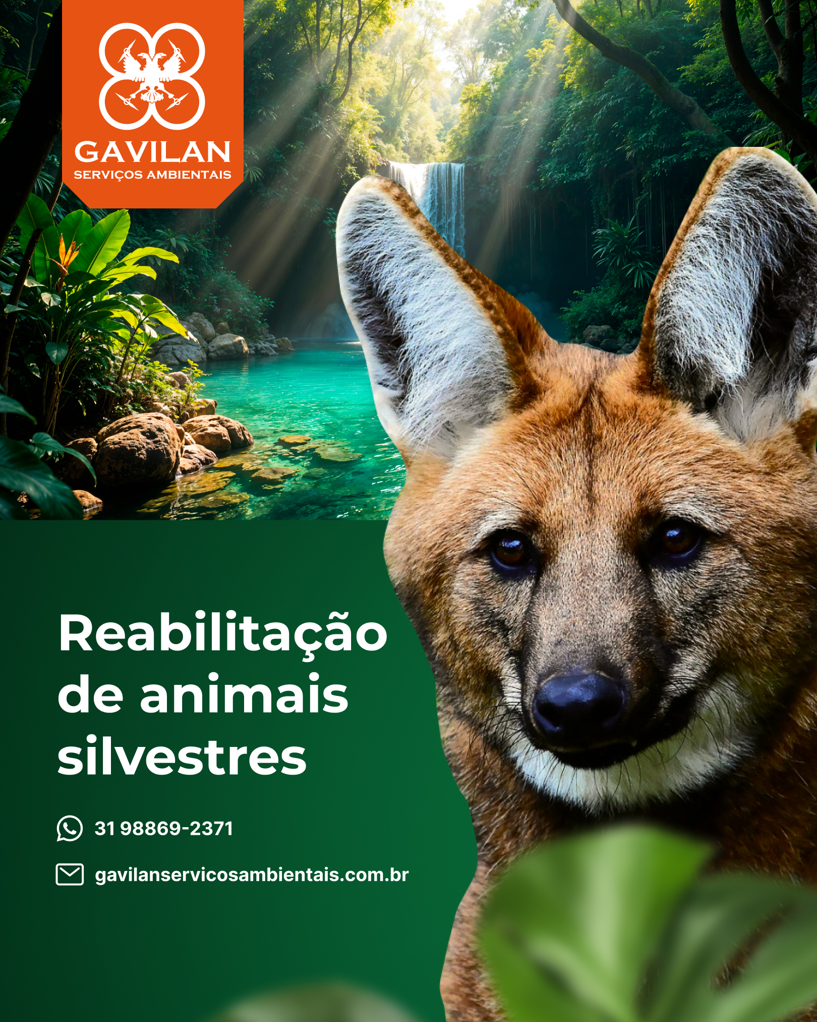REABILITAÇÃO